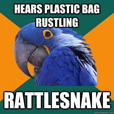 hears plastic bag rustling rattlesnake  Paranoid Parrot