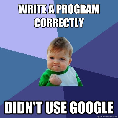 Write a Program correctly Didn't use google  Success Kid