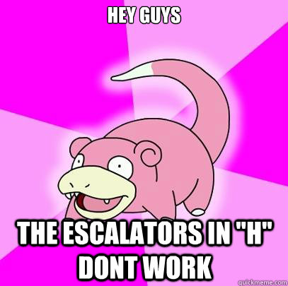 hey guys the escalators in 