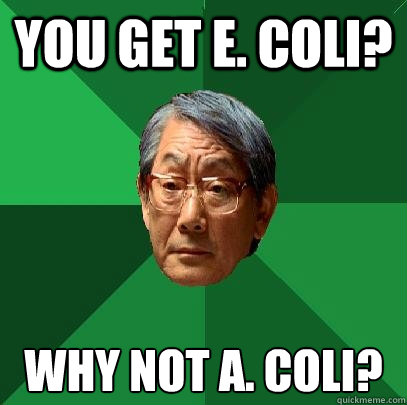 You get E. Coli? Why not A. Coli?  High Expectations Asian Father