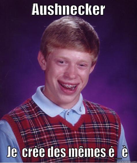             AUSHNECKER             JE  CRÉE DES MÊMES É_È Bad Luck Brian
