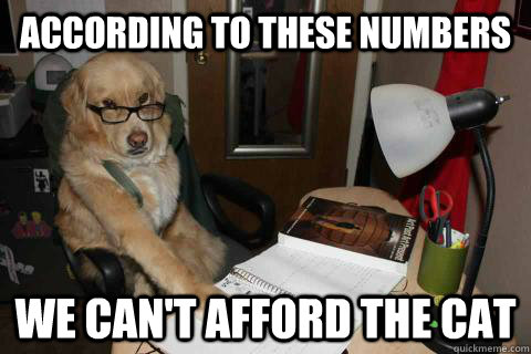 According to these numbers we can't afford the cat  Financial Advice Dog