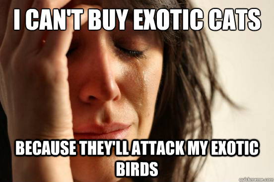 I can't buy exotic cats because they'll attack my exotic birds  First World Problems