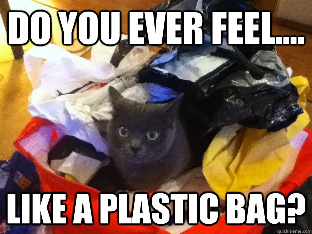 Do you ever feel.... like a plastic bag? - Do you ever feel.... like a plastic bag?  Katy Perrys inspiration