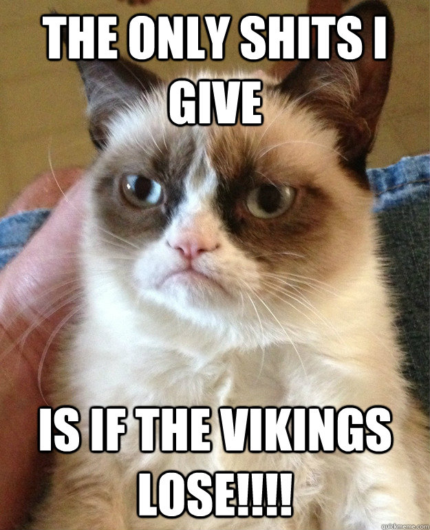 The only shits I give is if the Vikings lose!!!!   Grumpy Cat