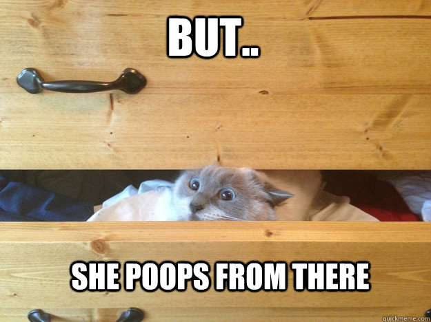 But.. she Poops from there - But.. she Poops from there  Misc