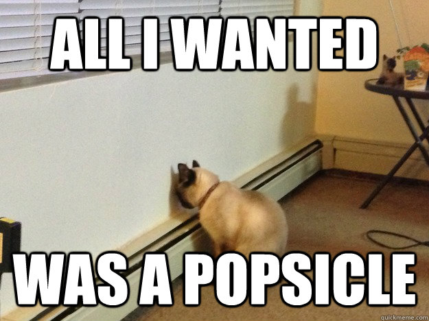 All I wanted Was a Popsicle  Regretful Cat