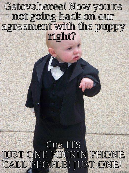 GETOVAHEREE! NOW YOU'RE NOT GOING BACK ON OUR AGREEMENT WITH THE PUPPY RIGHT?  CUZ ITS JUST ONE FUCKIN PHONE CALL PEOPLE! JUST ONE!  Baby Godfather
