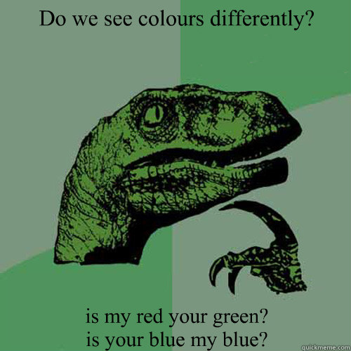 Do we see colours differently? is my red your green?
is your blue my blue?  Philosoraptor