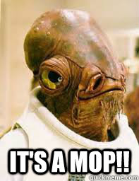  It's a mop!!  Its a trap