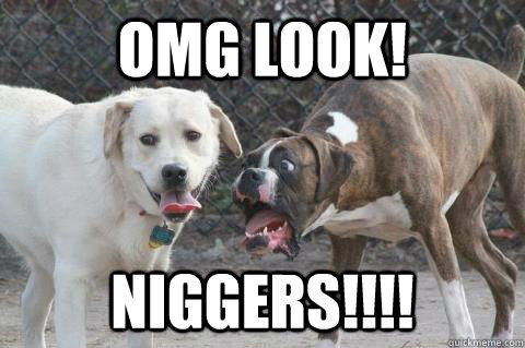 OMG LOOK! NIGGERS!!!!  Shocked Dog