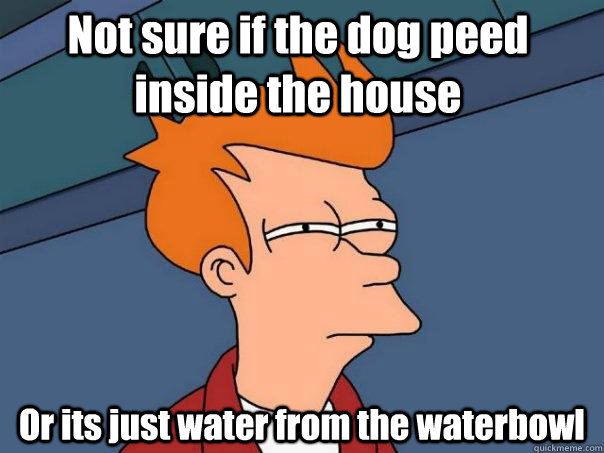 Not sure if the dog peed inside the house  Or its just water from the waterbowl - Not sure if the dog peed inside the house  Or its just water from the waterbowl  Futurama Fry