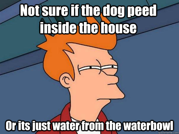 Not sure if the dog peed inside the house  Or its just water from the waterbowl  Futurama Fry