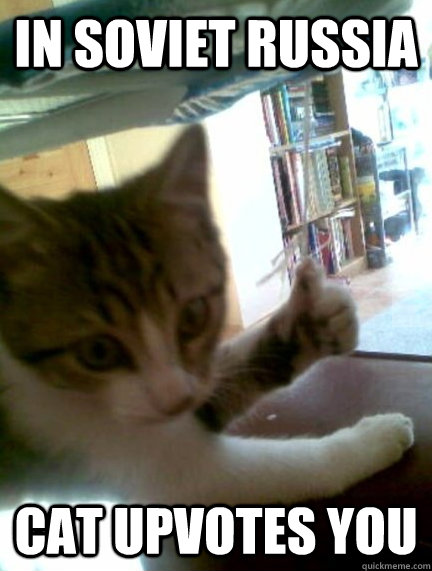 In Soviet russia cat upvotes you - In Soviet russia cat upvotes you  Misc