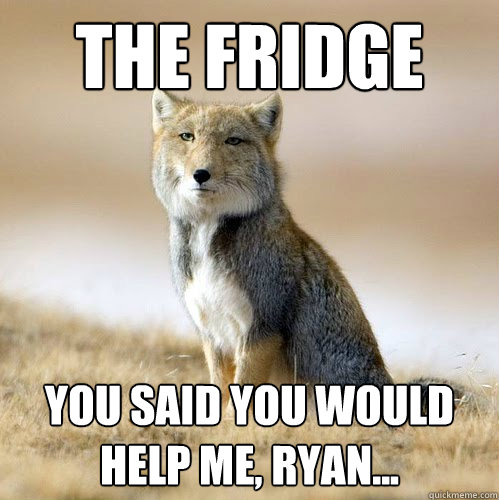 the fridge you said you would help me, ryan...  