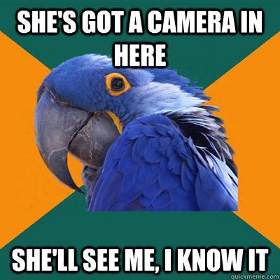 she's got a camera in here she'll see me, i know it  Paranoid Parrot
