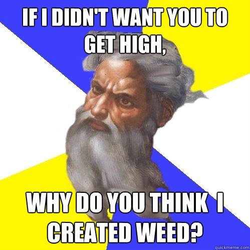 If i didn't want you to get high, why do you think  i created weed?  Advice God