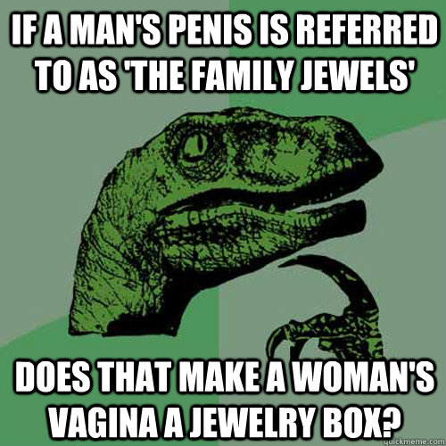 If a man's penis is referred to as 'the family jewels' Does that make a woman's vagina a jewelry box?  - If a man's penis is referred to as 'the family jewels' Does that make a woman's vagina a jewelry box?   Philosoraptor