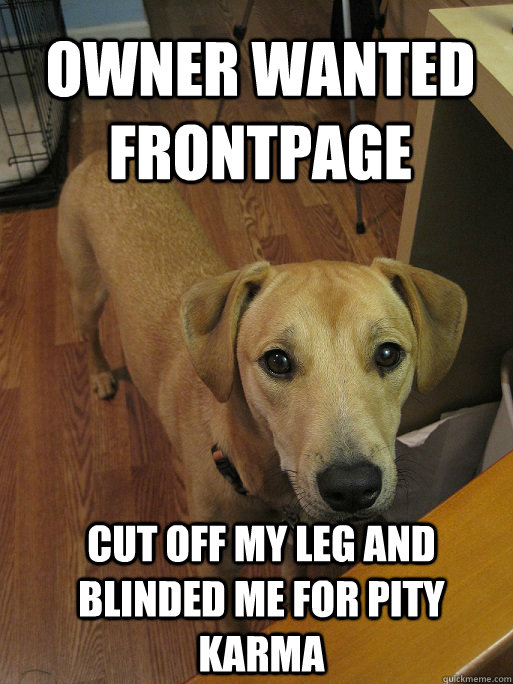 owner wanted frontpage cut off my leg and blinded me for pity karma - owner wanted frontpage cut off my leg and blinded me for pity karma  Redditors Dog