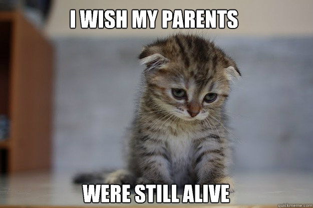 I wish my parents Were still alive Caption 3 goes here  Sad Kitten