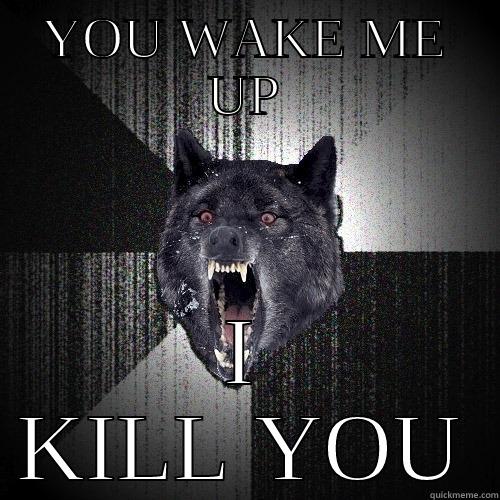YOU WAKE ME UP I KILL YOU Insanity Wolf