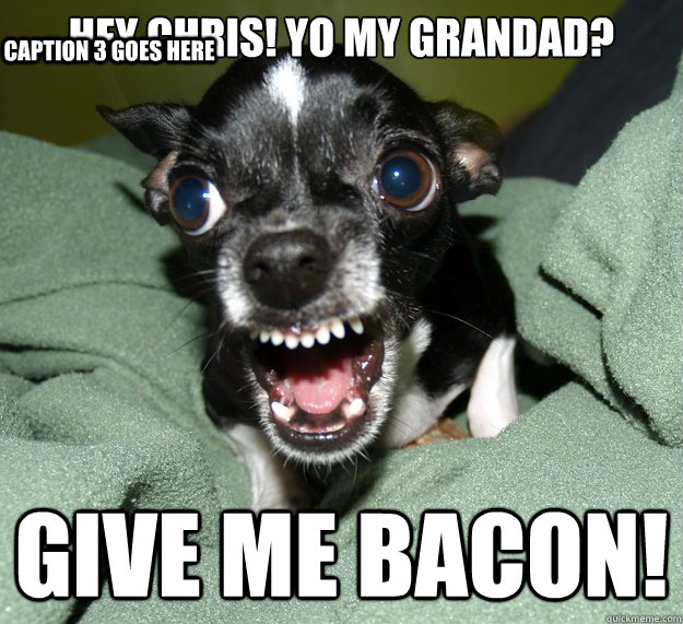 hey chris! yo my grandad? give me bacon! Caption 3 goes here  Chihuahua Logic