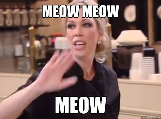 Meow Meow Meow  Overly Hostile Amy