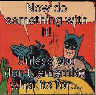 NOW DO SOMETHING WITH IT! UNLESS YOU DON'T REMEMBER WHAT ITS FOR.... Slappin Batman