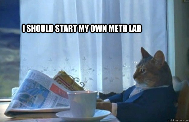 I SHOULD START MY OWN METH LAB  Sophisticated Cat