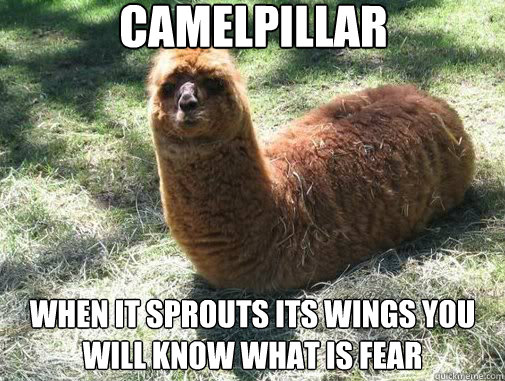 camelpillar when it sprouts its wings you will know what is fear  Alpacapillar
