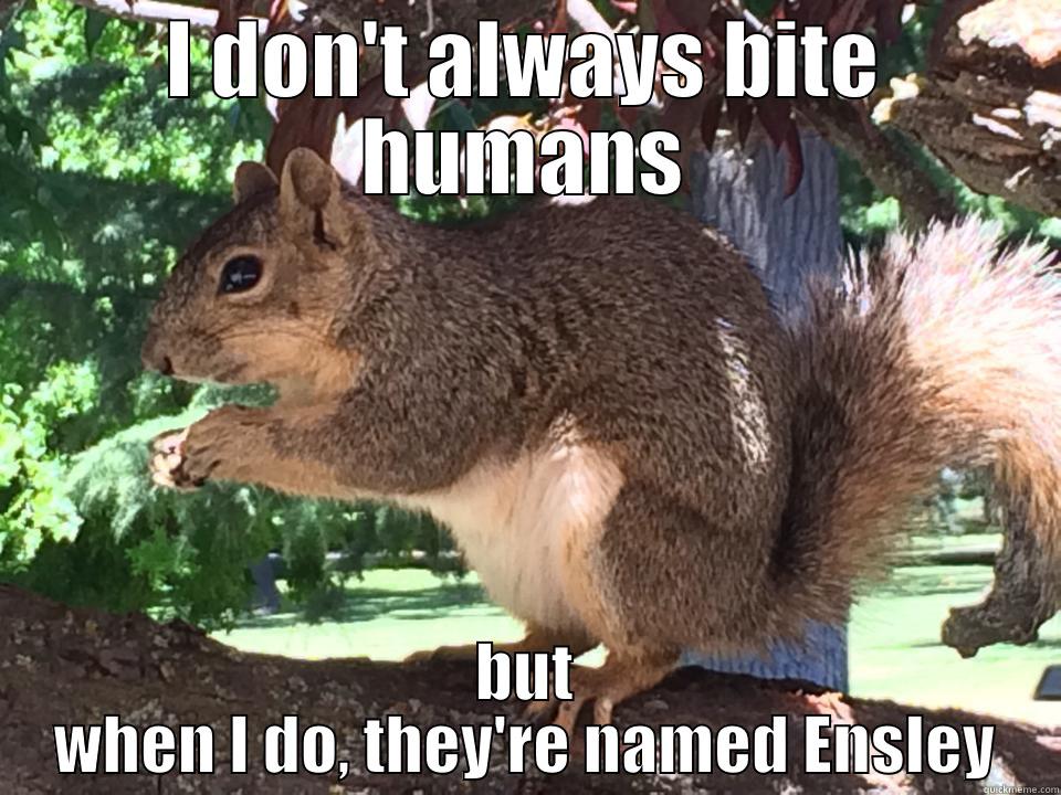 Squirrel biter - I DON'T ALWAYS BITE HUMANS BUT WHEN I DO, THEY'RE NAMED ENSLEY Misc