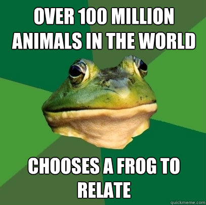 Over 100 million animals in the world chooses a frog to relate  Foul Bachelor Frog