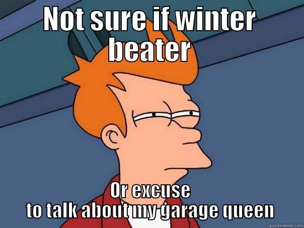 NOT SURE IF WINTER BEATER OR EXCUSE TO TALK ABOUT MY GARAGE QUEEN Futurama Fry