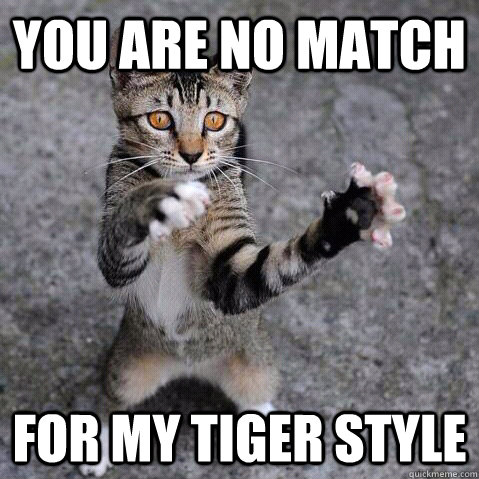 You are no match For my tiger style  kung fu kitten