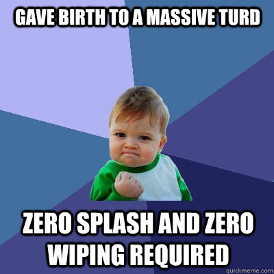 Gave birth to a massive turd zero splash and zero wiping required  Success Kid