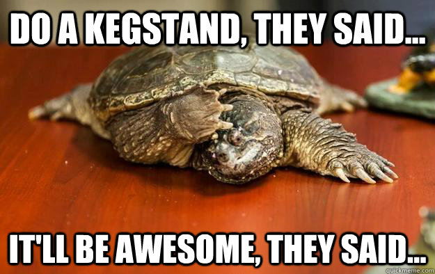 Do a kegstand, they said... it'll be awesome, they said... - Do a kegstand, they said... it'll be awesome, they said...  Hangover turtle