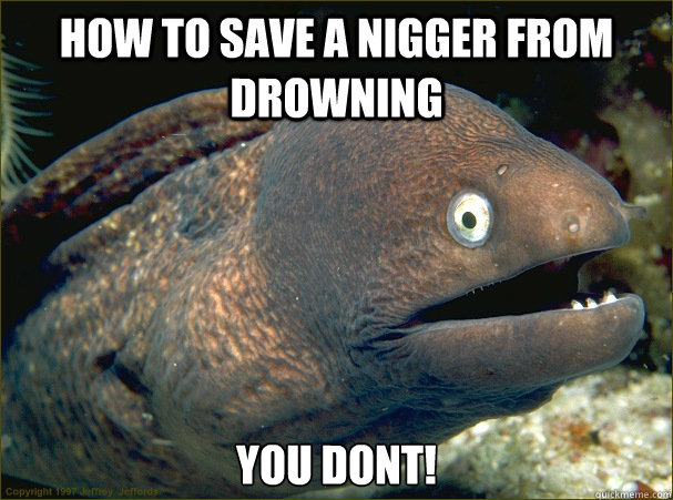 how to save a nigger from drowning you dont!  Bad Joke Eel