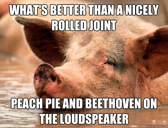 what's better than a nicely rolled joint peach pie and beethoven on the loudspeaker  Stoner Pig