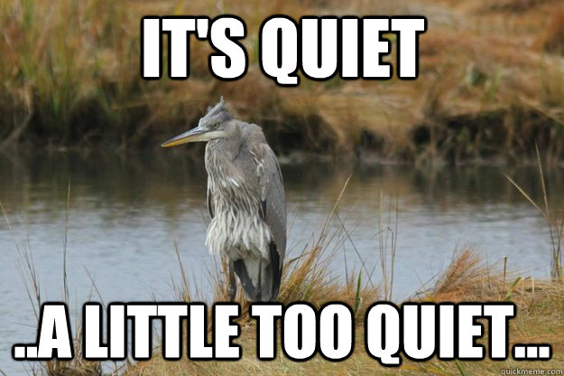 It's Quiet ..a little TOO quiet... - It's Quiet ..a little TOO quiet...  No upvote