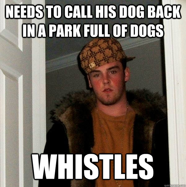needs to call his dog back in a park full of dogs whistles  Scumbag Steve