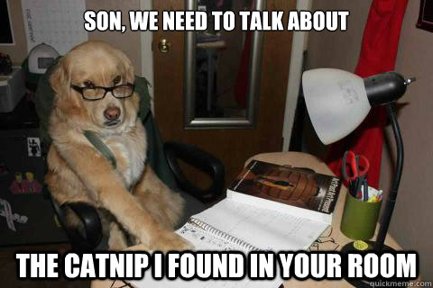 Son, we need to talk about The catnip I found in your room  Disapproving Dad Dog