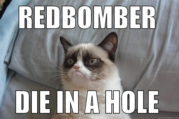 REDBOMBER DIE IN A HOLE Grumpy Cat