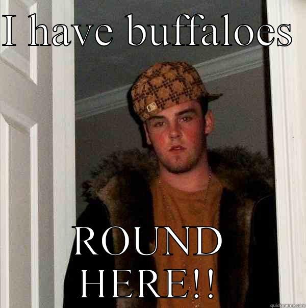I HAVE BUFFALOES  ROUND HERE!! Scumbag Steve