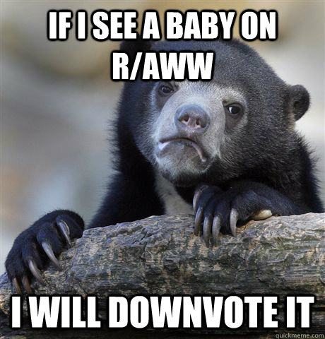 If I see a baby on r/aww I will downvote it  Confession Bear