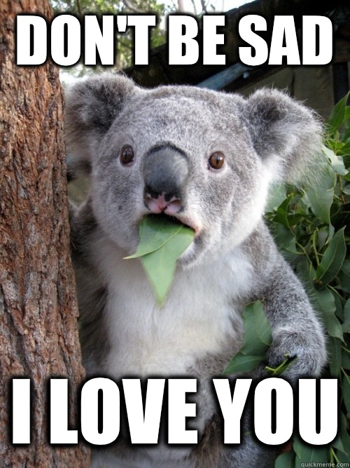 Don't be sad  I love you  Surprised Koala