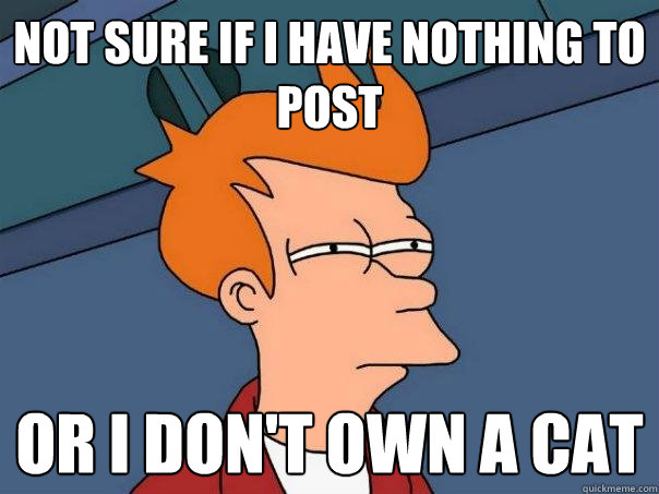 Not sure if I have nothing to post Or I don't own a cat  Futurama Fry
