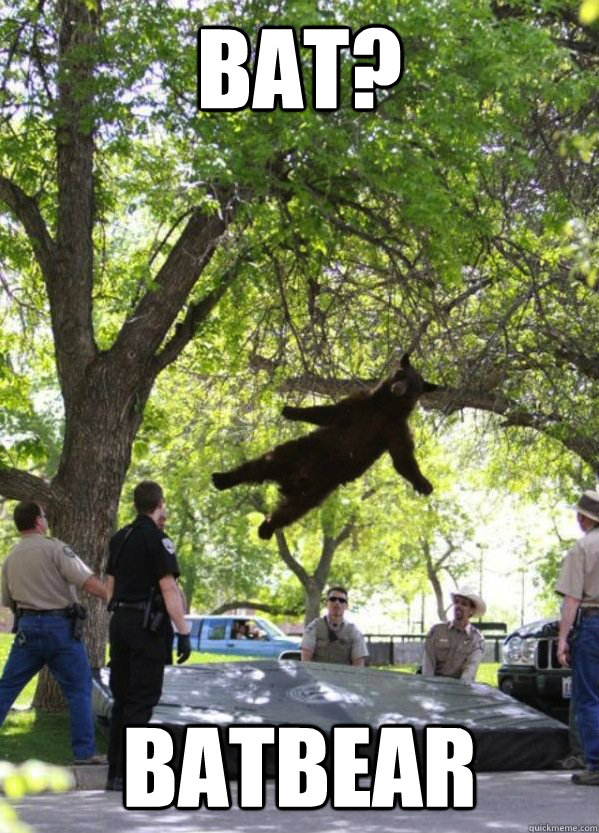 BAT? BATBEAR - BAT? BATBEAR  i am a falling bear