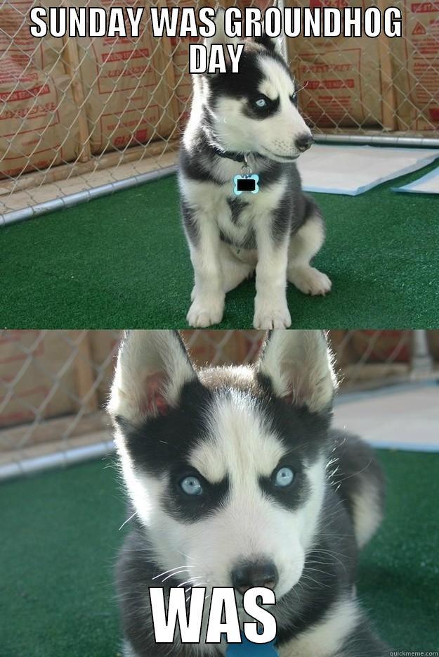 SUNDAY WAS GROUNDHOG DAY WAS Insanity puppy