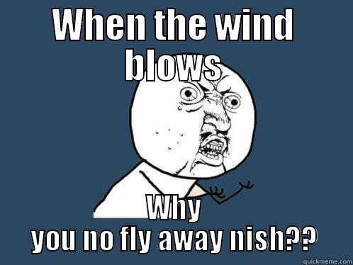 WHEN THE WIND BLOWS WHY YOU NO FLY AWAY NISH?? Y U No