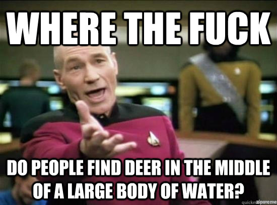 Where the fuck Do people find deer in the middle of a large body of water?  Annoyed Picard HD
